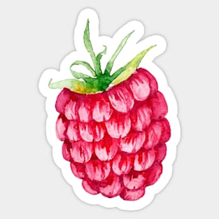 Raspberry Watercolour Sticker